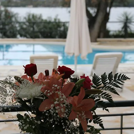 Apartment Saint Nicholas *